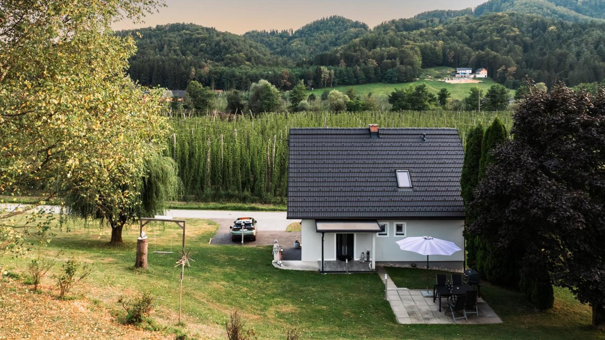 Ferienhaus Treissmann An Der Weinstrasse Leutschach Exterior foto